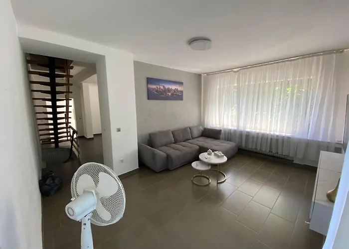 Ferienvilla Whirlpool Fasssauna Direkt Am Rhein *